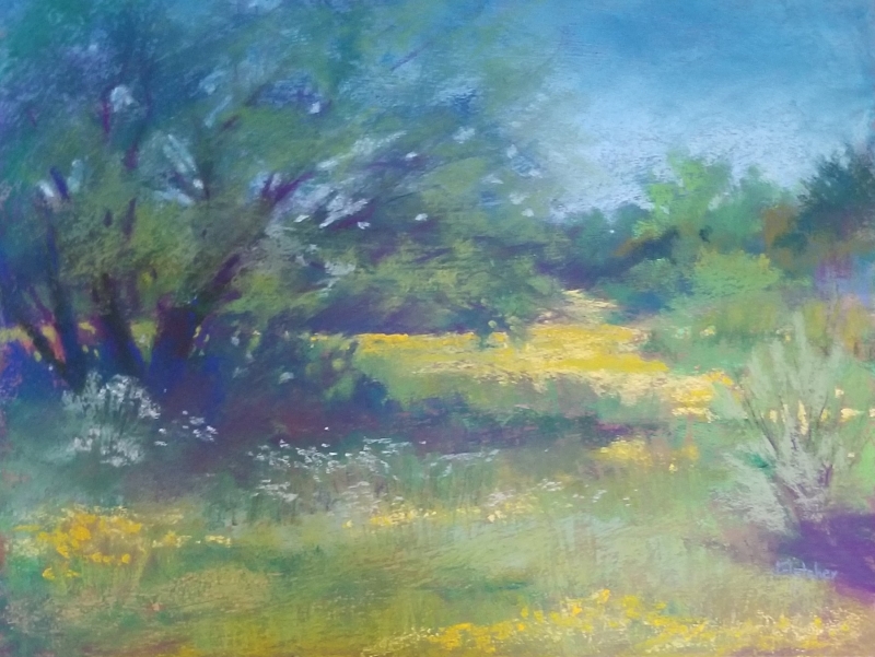 McCulloch County, TXi n the Spring by artist Julia Fletcher